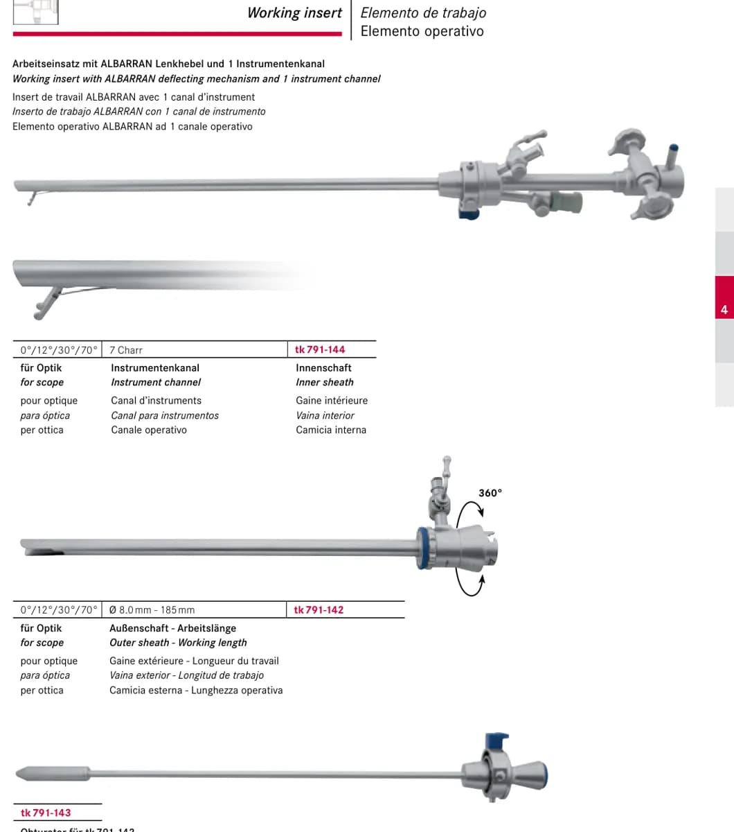 Ishchi insert